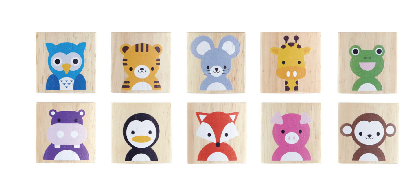 Plantoys | Animal MAtching