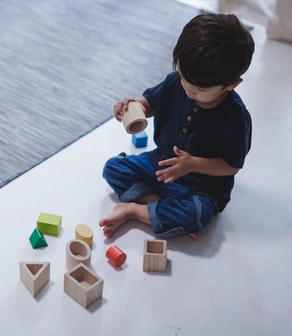 Plantoys | Geo Matching Blocks