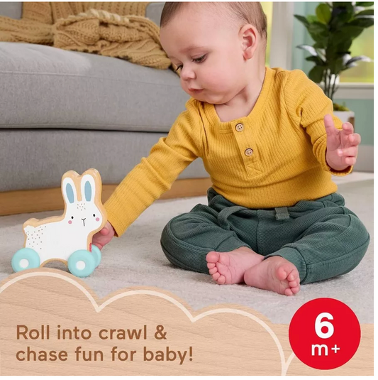 Fisher-Price | Wooden Push Along Bunny ( Premium Toy )