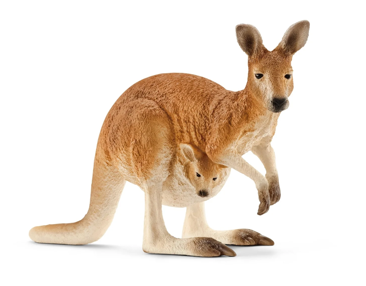 Schleich |  Kangaroo Figurine